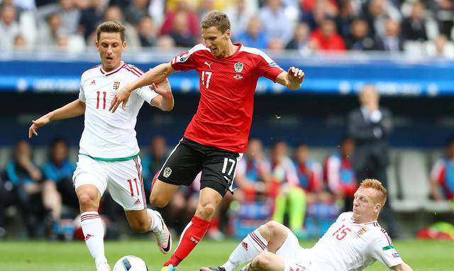 开云体育在线登录-爱尔兰国家队备战白俄罗斯，全队充满信心