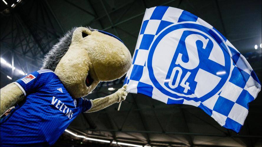 斯图加特队主场对决沙尔克队 斯图加特队主场对决沙尔克队